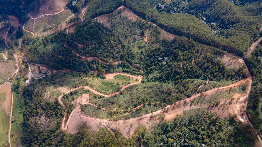 ReservaArace 4